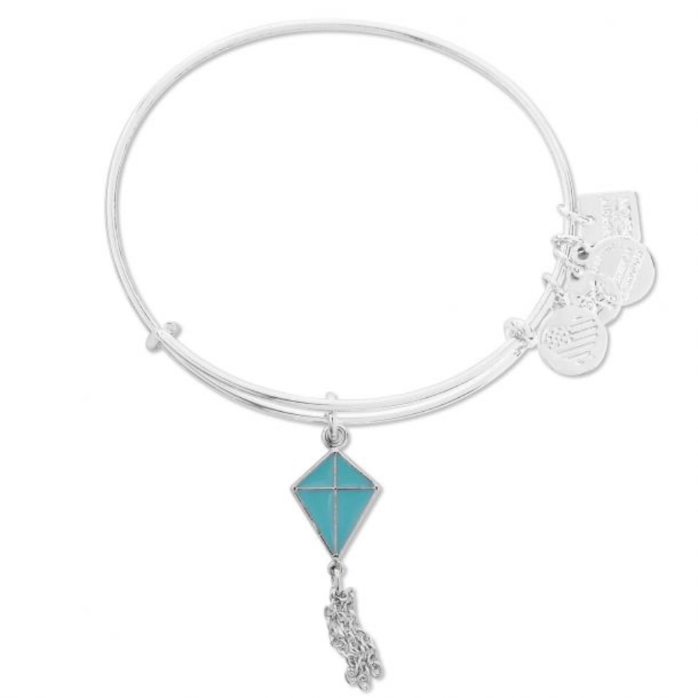 NWT Alex and Ani Inspiration In Flight Charm Bangle - Shiny Silver Finish